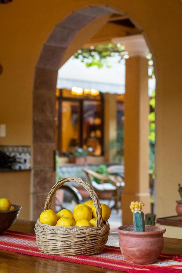 Villa Vicuna Cafayate Boutique Hotel Exterior foto